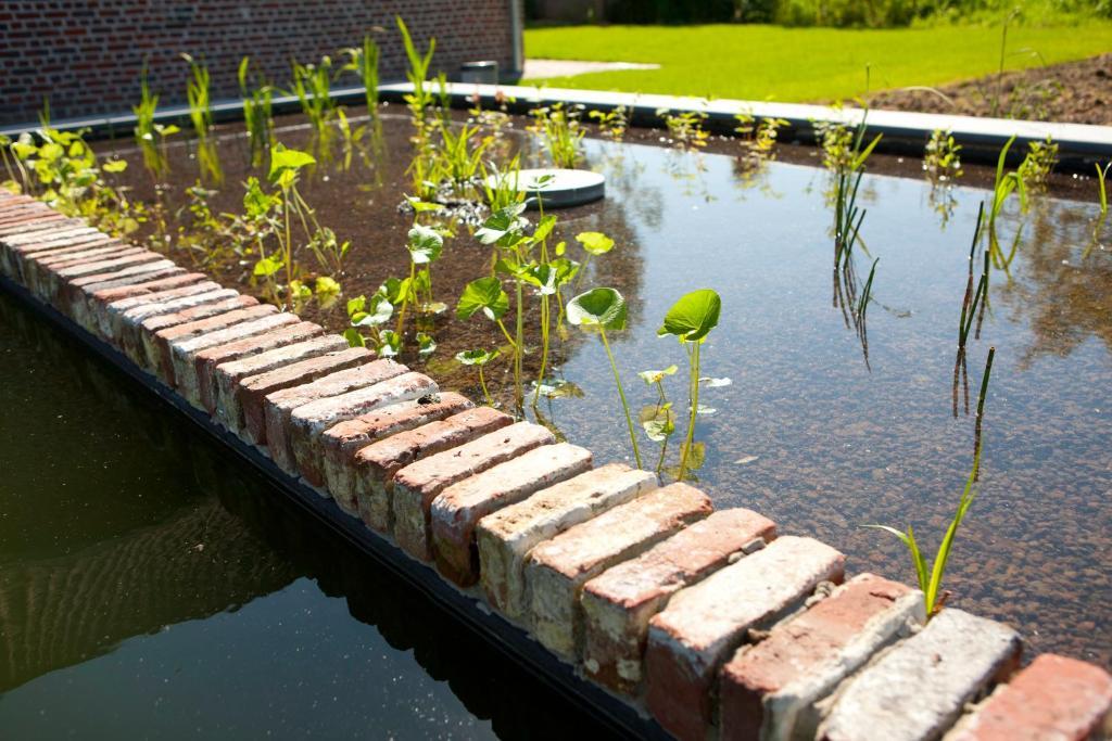 B&B De Deugdzonde Sint-Denijs Exteriör bild