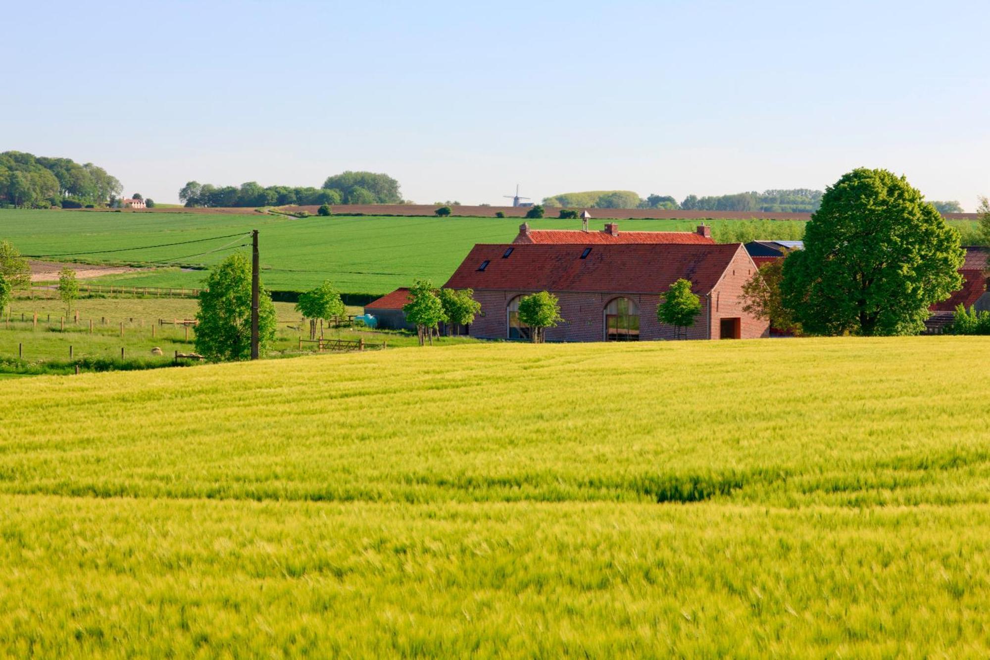 B&B De Deugdzonde Sint-Denijs Exteriör bild