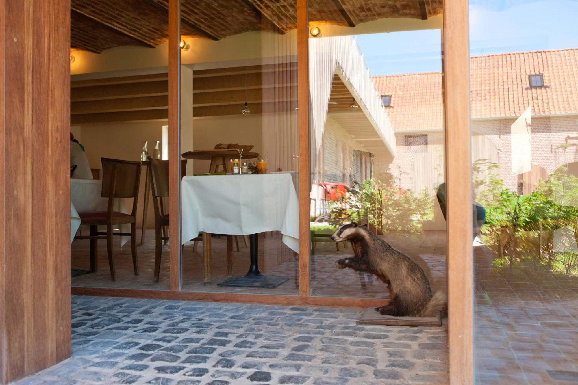 B&B De Deugdzonde Sint-Denijs Exteriör bild