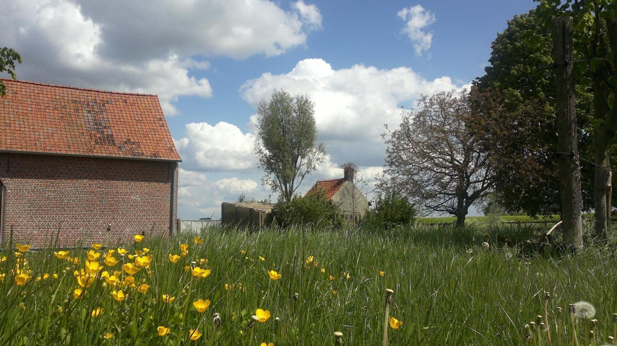 B&B De Deugdzonde Sint-Denijs Exteriör bild